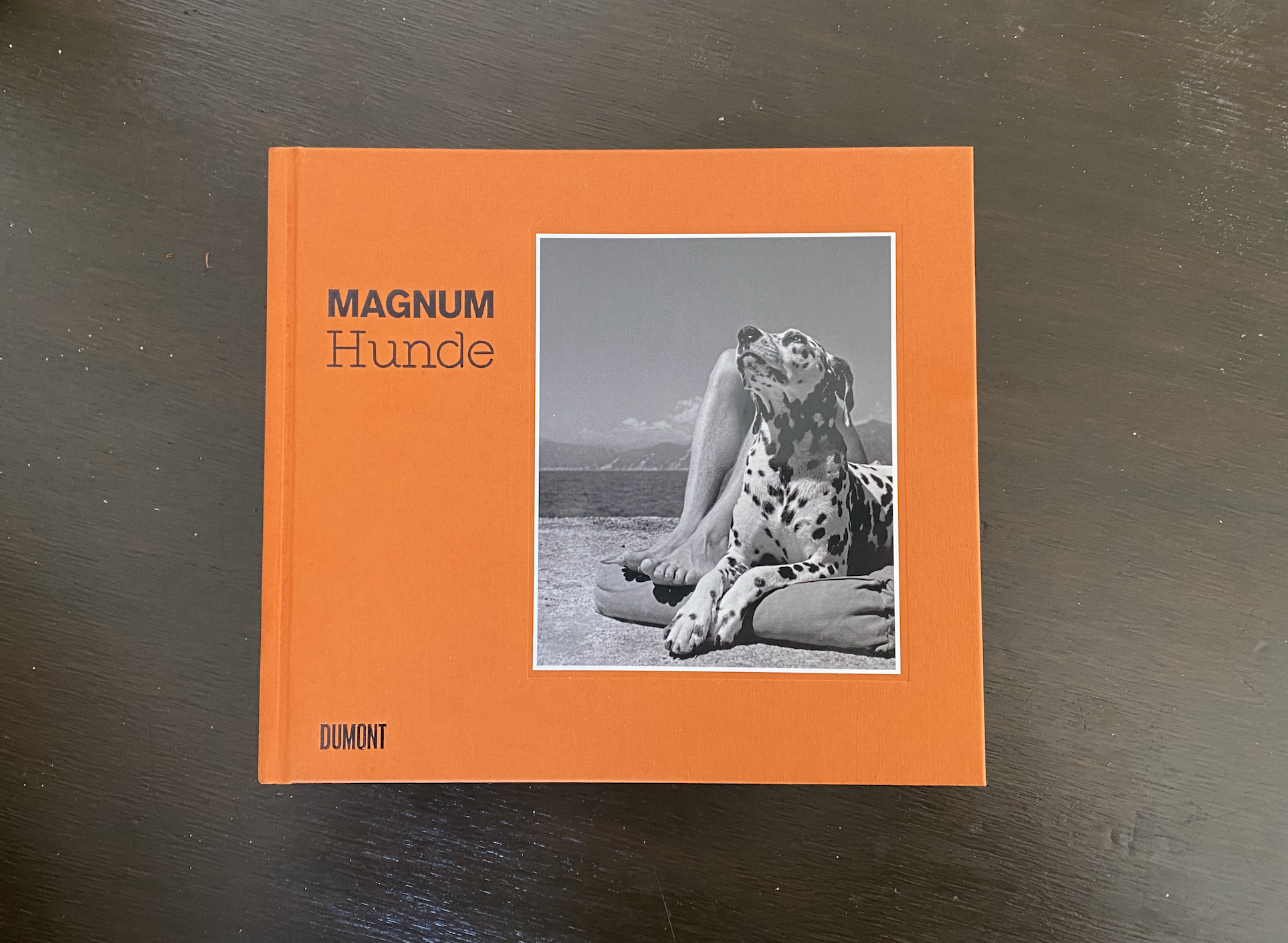 Magnum Hunde Cover