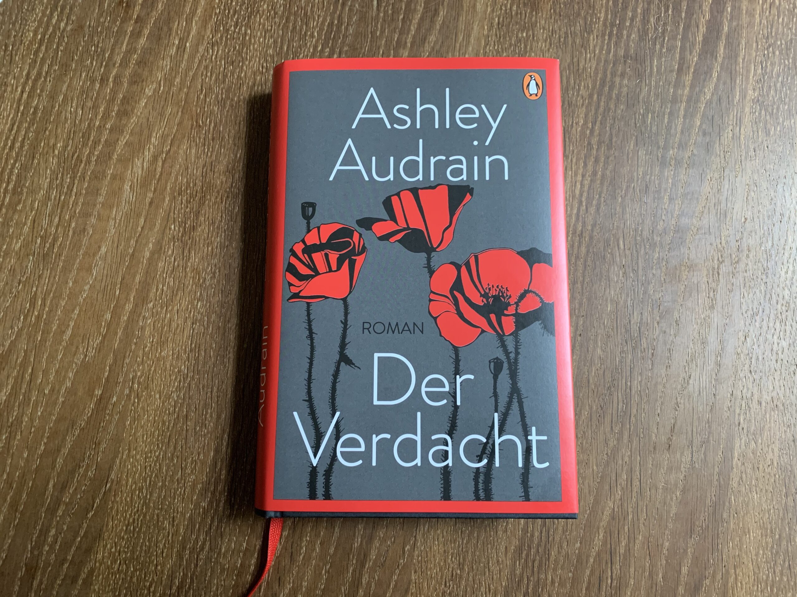 ASHLEY AUDRAIN – Der Verdacht