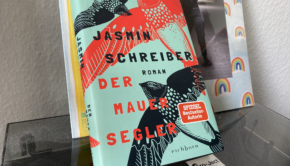 Der Mauersegler - Jasmin Schreiber