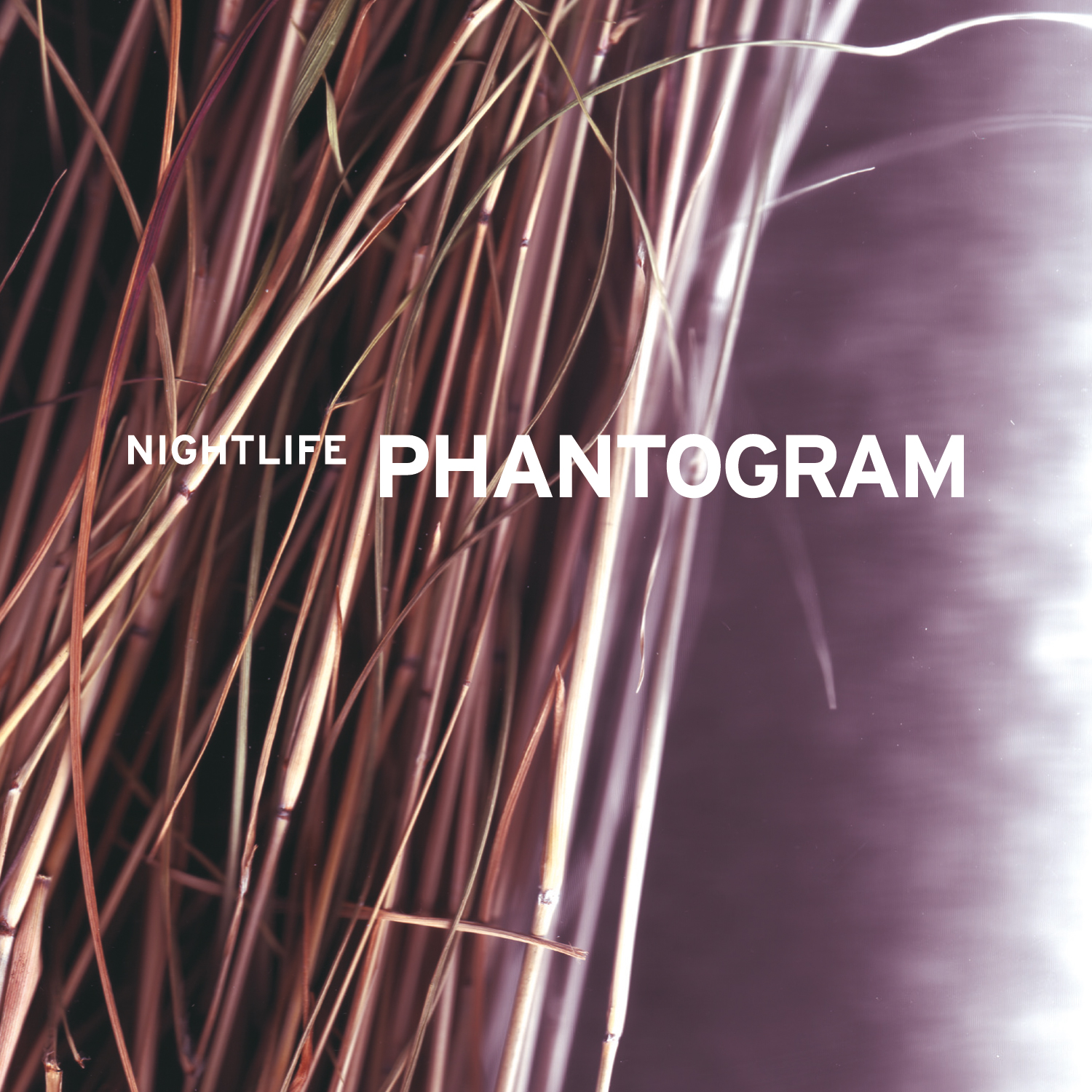 PHANTOGRAM – Nightlife