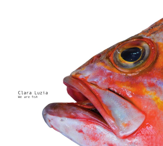 CLARA LUZIA - We Are Fish CD-Kritik