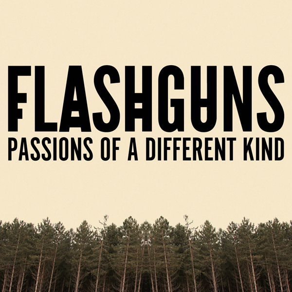 FLASHGUNS – ‚Passions Of A Different Kind‘ out now!